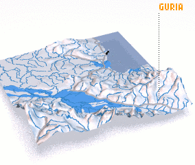 3d view of Guria