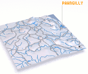 3d view of Pawngilly