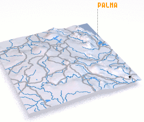 3d view of Palma