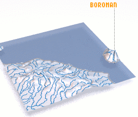 3d view of Boroman