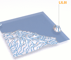 3d view of Liloi