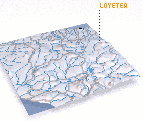 3d view of Loyetea