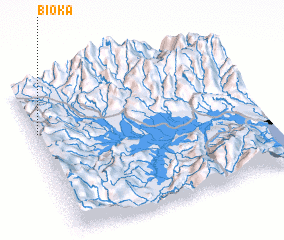 3d view of Bioka