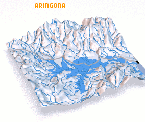 3d view of Aringona