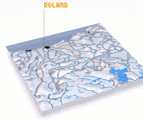 3d view of Roland