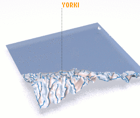 3d view of Yorki