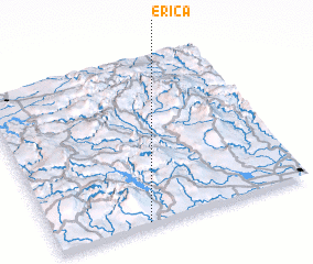 3d view of Erica