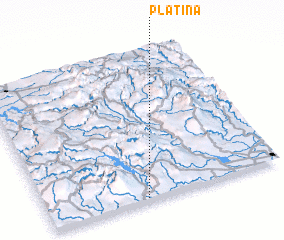 3d view of Platina