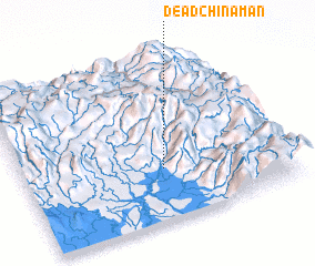3d view of Dead Chinaman