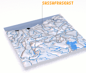 3d view of Sassafras East