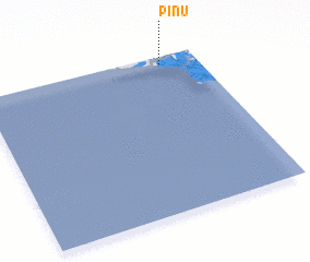 3d view of Pinu