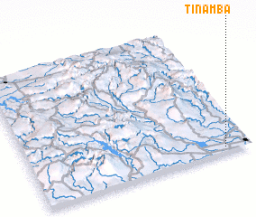 3d view of Tinamba