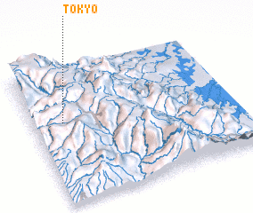 3d view of Tokyo