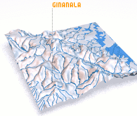 3d view of Ginanala