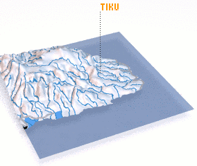 3d view of Tiku