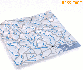 3d view of Mossiface