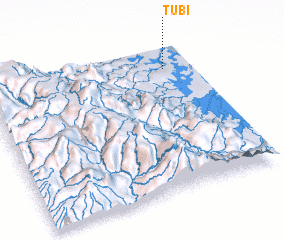 3d view of Tubi