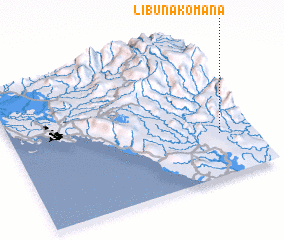 3d view of Libunakomana