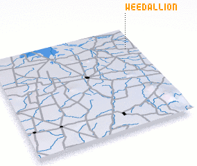 3d view of Weedallion