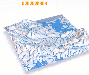 3d view of Bokukomana