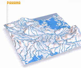 3d view of Pawa Ha