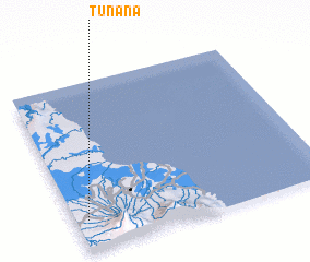 3d view of Tunana