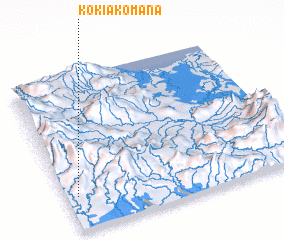 3d view of Kokiakomana