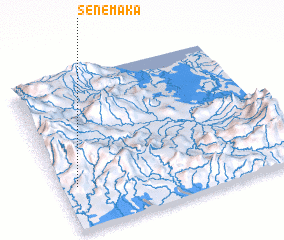 3d view of Senemaka