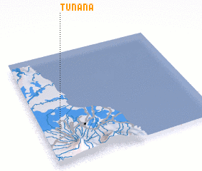 3d view of Tunana