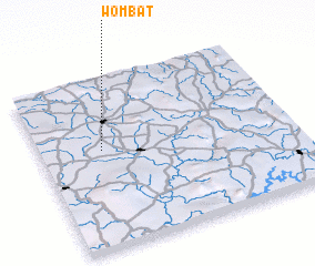 3d view of Wombat