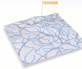 3d view of Trueman