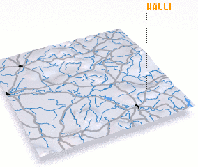 3d view of Walli