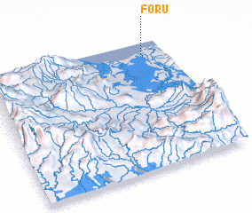 3d view of Foru