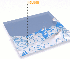 3d view of Moluor