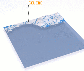 3d view of Seleng