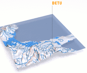 3d view of Betu