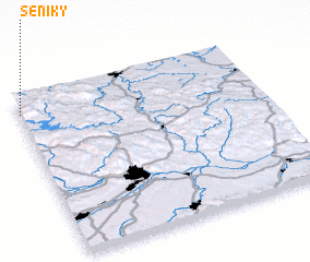 3d view of Seníky