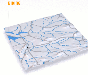 3d view of Biding