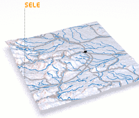 3d view of Sele