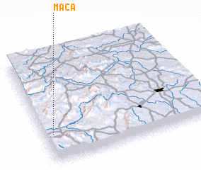 3d view of Maca