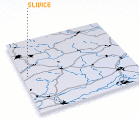 3d view of Slivice