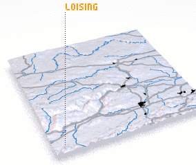 3d view of Loising