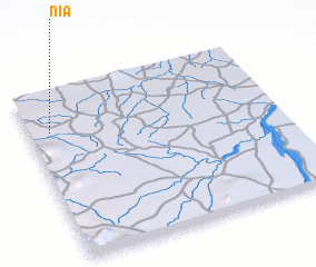 3d view of Nia