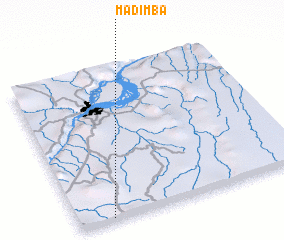 3d view of Madimba