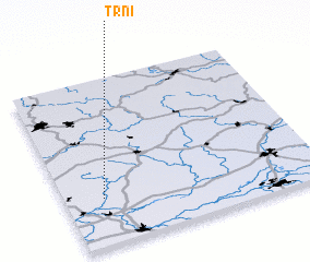 3d view of Trní