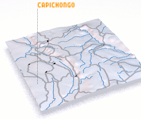 3d view of Capichongo