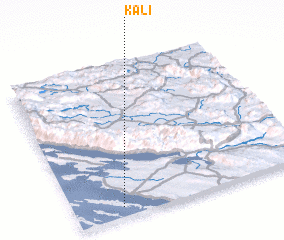 3d view of Kali