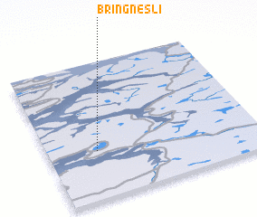 3d view of Bringnesli