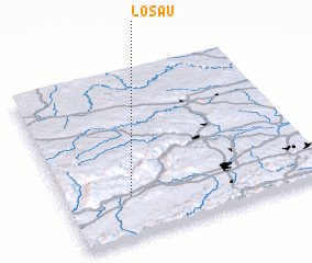 3d view of Losau