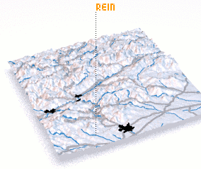 3d view of Rein